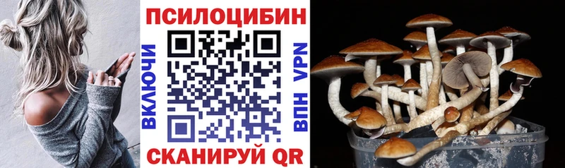 Псилоцибиновые грибы Psilocybine cubensis  Тамбов 